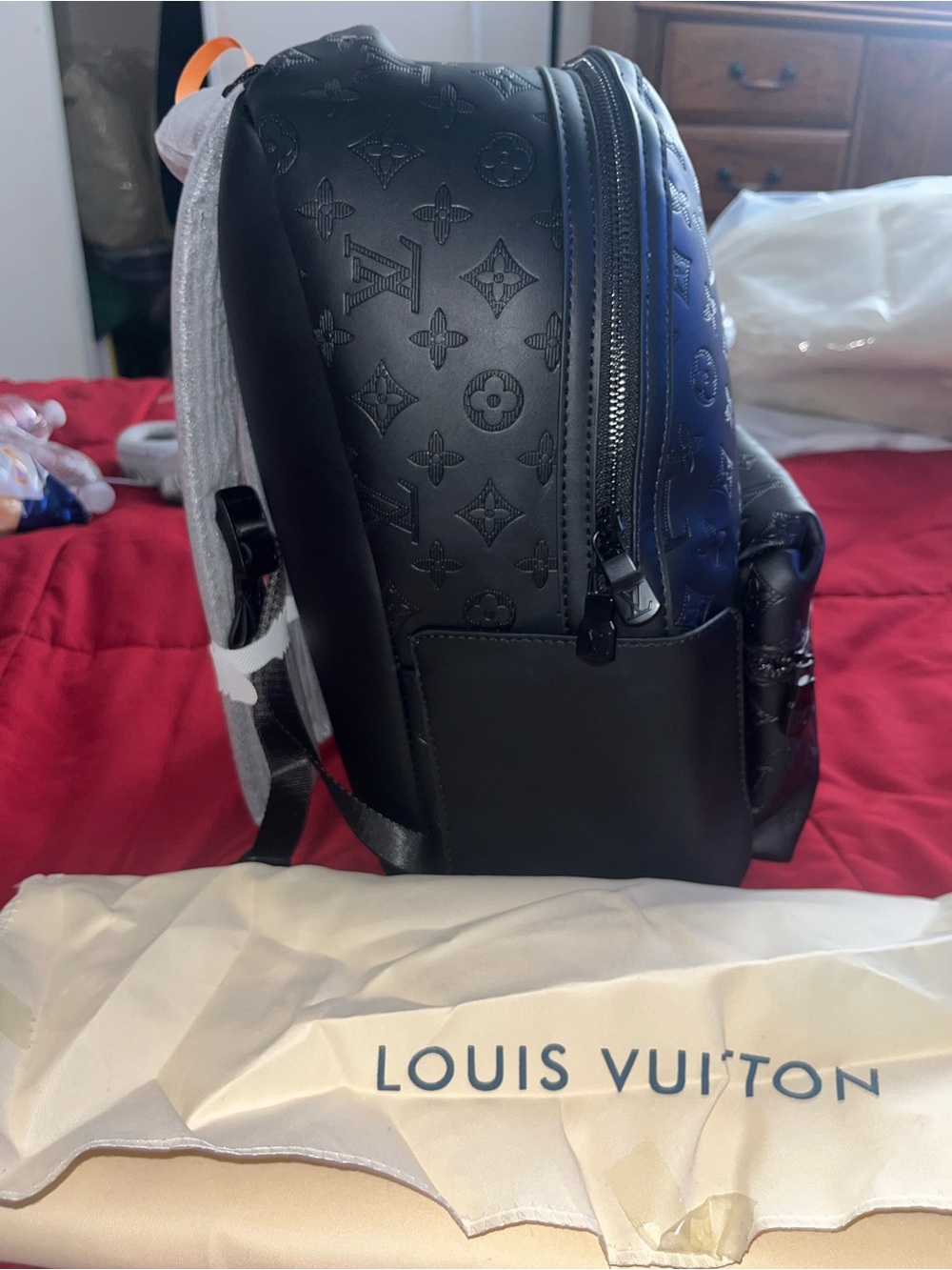 LV Backpack - Picture 3 of 7